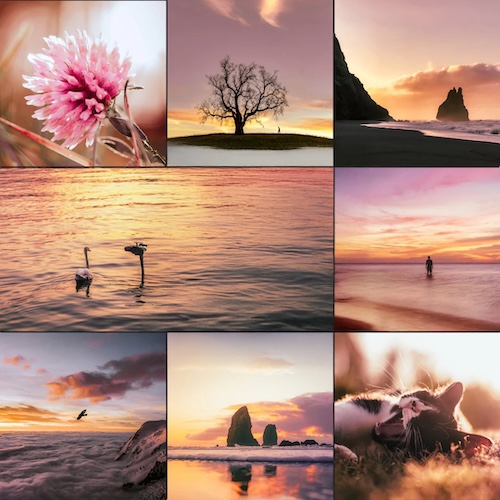 Voorbeeld van Lightroom Preset-Rose-hour