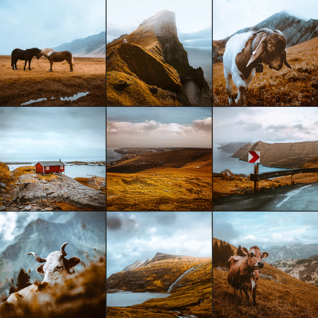 Voorbeeld van Lightroom Preset-Rustic-Land