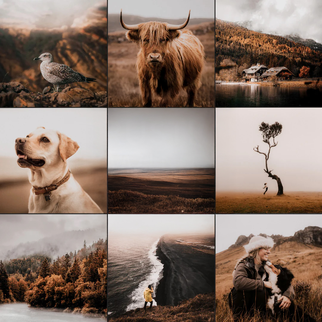 Voorbeeld van Lightroom Preset-Rustic-Wind